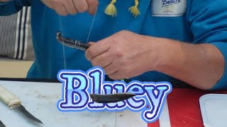 Bait Presentation with Steve - Bluey