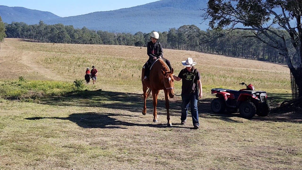 Horse Riding at Lilydale Farmstay 13_8_2017(4) YouTube
