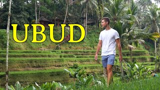 4 Days in UBUD, BALI - Things to Do & First Impressions by Wanderlust Wellman 744 views 7 days ago 16 minutes