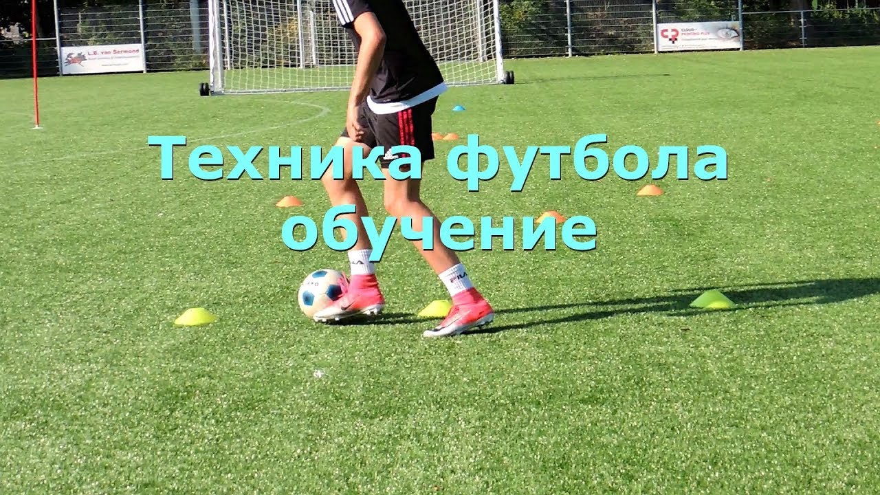 Упражнения применяемые в тренировках футбольной академии манчестер юнайтед Упражнения применяемые в тренировках футбольной академии манчестер юнайтед