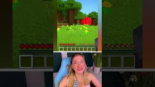 Das passiert wenn man mit einem Freund Minecraft startet