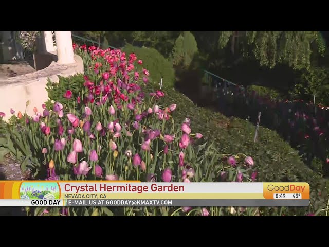 The Crystal Hermitage Garden class=