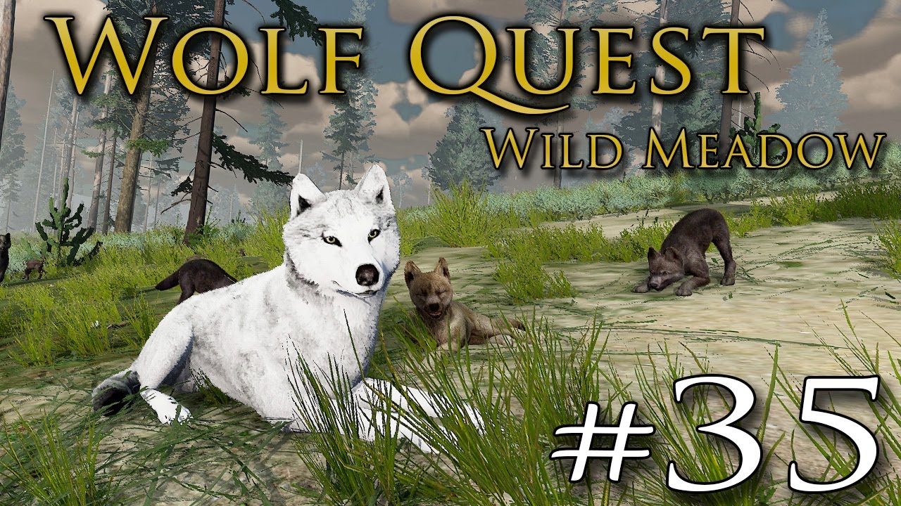 The Final WILD MEADOW Wolf Pups Left WOLF QUEST WILD MEADOW the-final-wild-meadow-wolf-pups-left-wolf-quest-wild-meadow