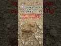 Liquid soil conditioner. Improve the soil healing condition. Loosen soil.