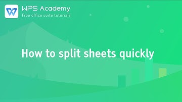 [WPS Academy] 2.2.4 Excel:How to split sheets quickly