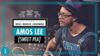 Amos Lee