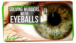 Victorian Pseudosciences: Solving Murders with Eyeballs Victorian Pseudosciences: Solving Murders with Eyeballs