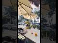 Best restaurant in Patong#youtubeshorts #phuket #popular #thailand @lamaicourtyardresturant&amp;bar