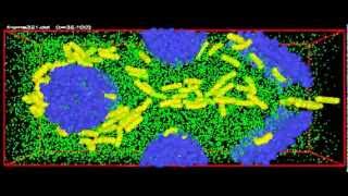 Simple fluid flow through static objects