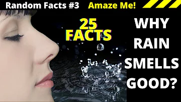 #Why #Rain Smells So Good? San Francisco's air pollution reason? Random #Facts Around The World