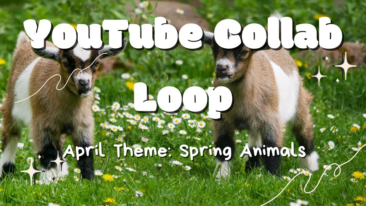 | YOUTUBE COLLAB LOOP | APRIL 2024 | THEME: SPRING ANIMALS | HOSTED BY ...