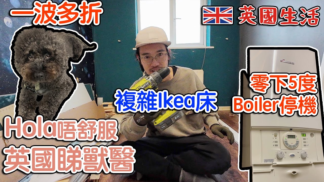 Hola唔舒服睇獸醫| 零下5度 boiler停機｜砌複雜Ikea床大挑戰