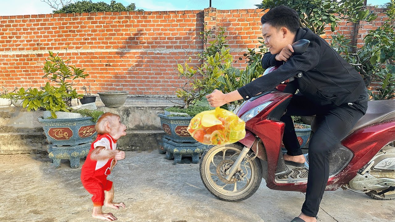 Heartwarming moment - Dad and the sweet jelly treat for Boll Boll❤️