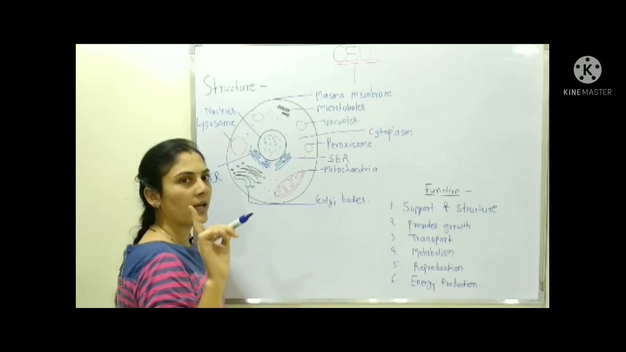 CELL | DISCOVERY | THEORY |  STRUCTURE | FUNCTION | TYPES | EXCEPTION | PART2