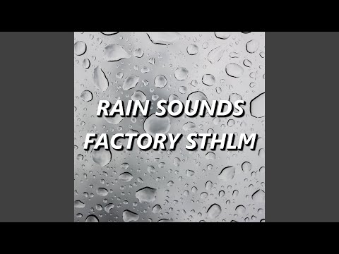 Lively Sunset Rain Sounds