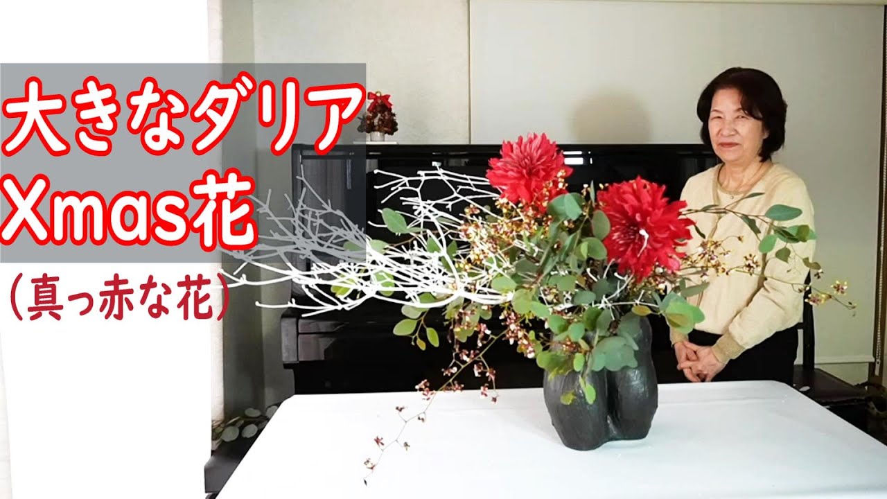 真っ赤なダリアと白塗りのクリスマス花】【Christmas flowers of large