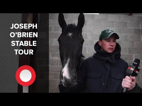 Joseph O'Brien Stable Tour: Rhinestone & Le Richebourg