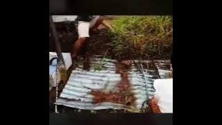 Eric Abang - Ayas ( snippet promo only)