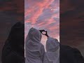 Montagem Ladrao #subscribe #viral #subscribe #comment #aditya #comment