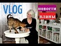 VLOG.Последние новости и планы.Отпуск кошки реклама ковер