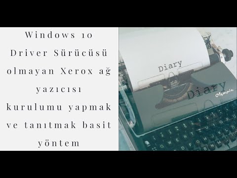Windows 10 Driver