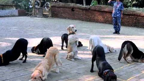 hilarious pics 2