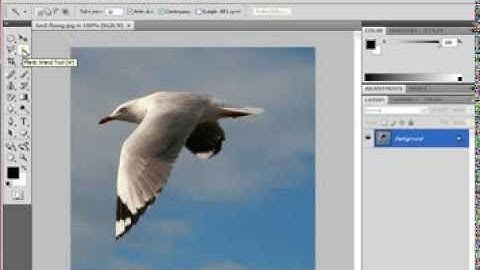 QUICK MASK - Creating Selections in Photoshop CS-4 - Chapter 7