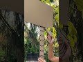 Make a Cardboard Swing at Home 🎠 Easy Kids Craft 😄📦 #shorts #fun