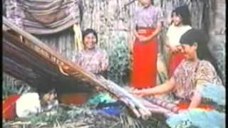 The Story of Eustace Conway - NBC
