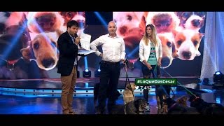 Lo que das - Programa 23/11/15