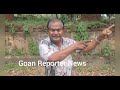 Goan Reporter: Velim's Anthoney D’Silva backs former Goa Congress chief Girish Chodankar.