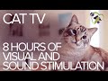 Tv for cats 8 hours of visual and sound stimulation