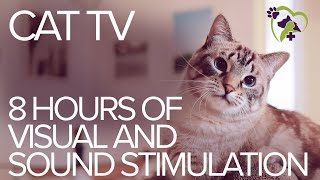 TV for Cats: 8 Hours of Visual and Sound Stimulation by Fryhorn 1,278,091 views 1 year ago 8 hours, 7 minutes