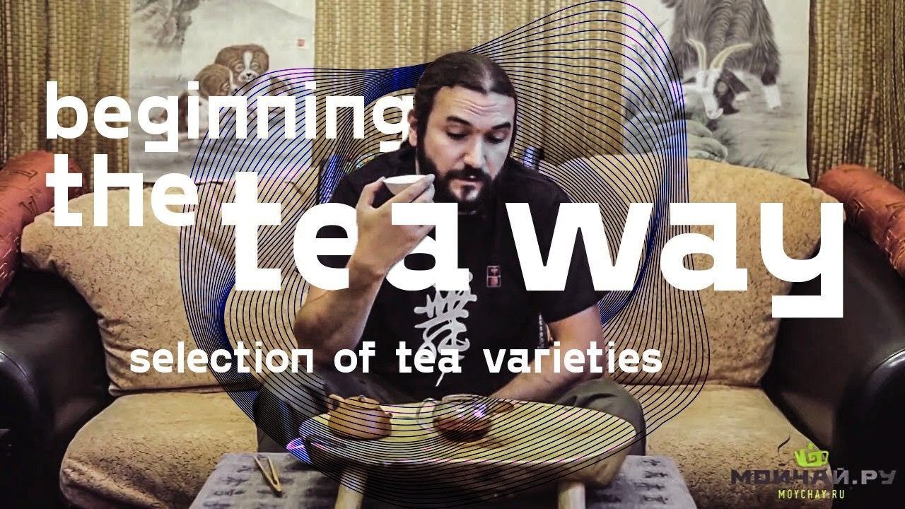 Beginning the tea way. Selection of tea varieties - YouTube