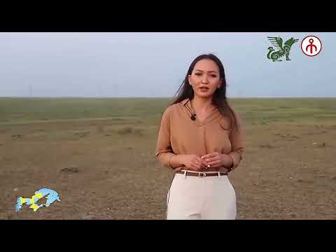 Ногъайский и Крымский Ногъайский схожь на 85 % #ногай #крымскиетатары #крымскиеногаи