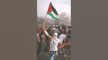 مهند خلف فلسطيني يا معلم 