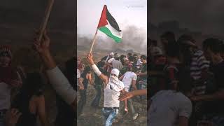 مهند خلف - فلسطيني يا معلم 🇵🇸