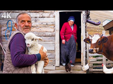 Dağlardaki Ailenin Yayla Hayatı-  Sonbaharda Köye Dönüş(Göç)| Belgesel-4K