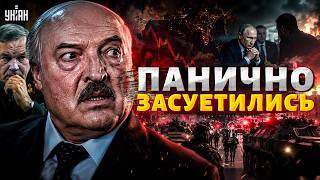 Истерика в Минске! Войска поднимают ПО ТРЕВОГЕ. Лукашенко засуетился после ЭТОГО визита