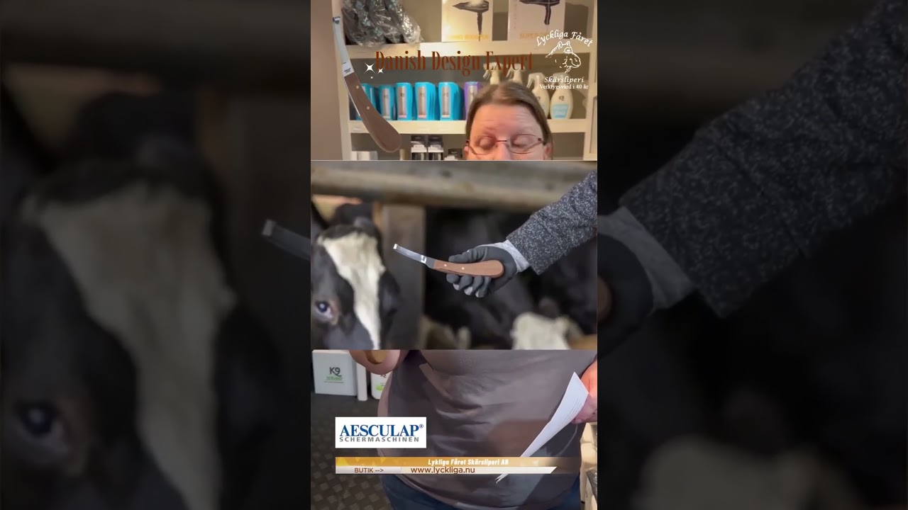 Upptäck proffsknivarna – tillsammans med Lee!