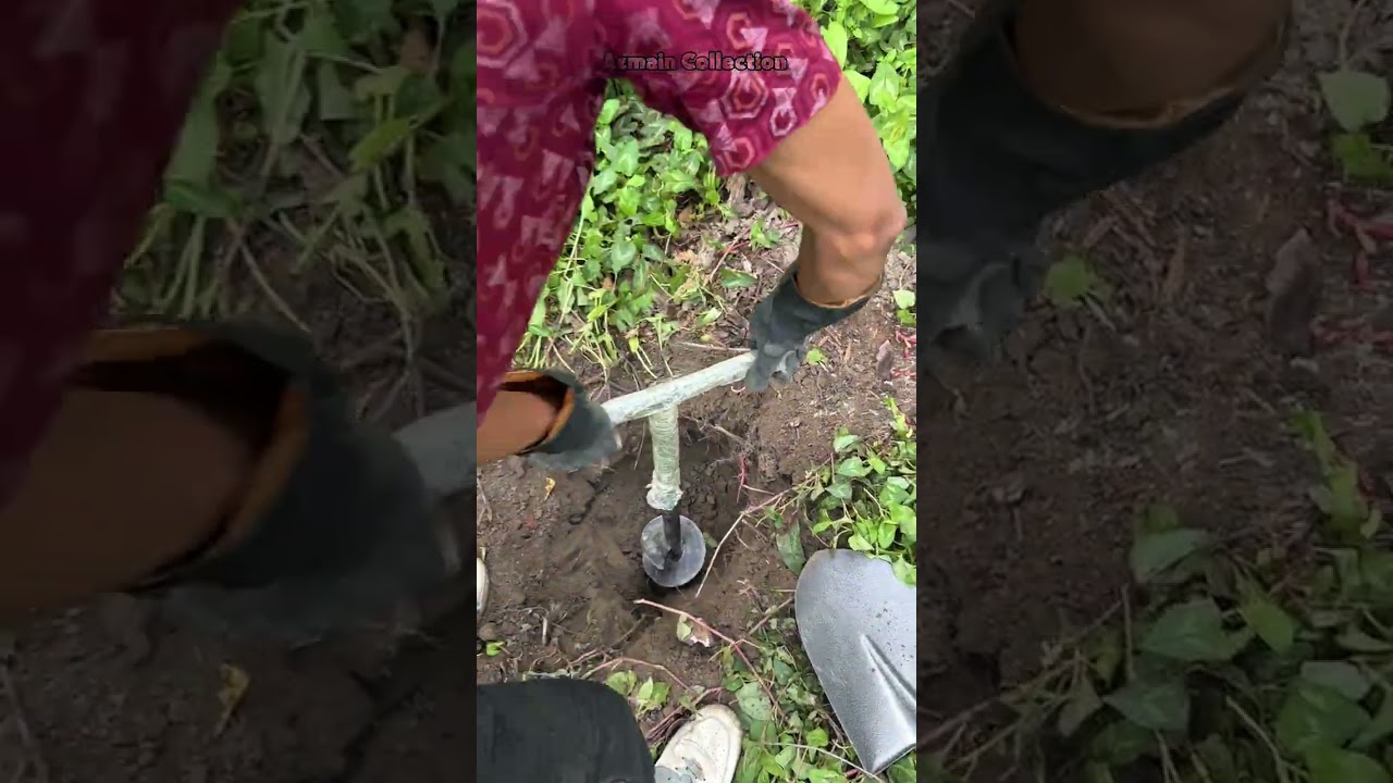 গাছ সারাতেই যা বের হলো—বাংলাদেশে প্রথম! 😳🔥What Came Out of the TREE Shocked Everyone! 😳⚡