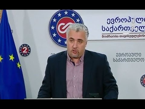 „ევროპული საქართველოს“ ინიციატივის გარშემო აზრთა სხვადასხვაობაა