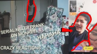 SERIAL KILLER PRANK ON MONKEY APP (CRAZY REACTIONS) 😂😂😂 SERIAL KILLER PRANK ON MONKEY APP (CRAZY REACTIONS) 😂😂😂