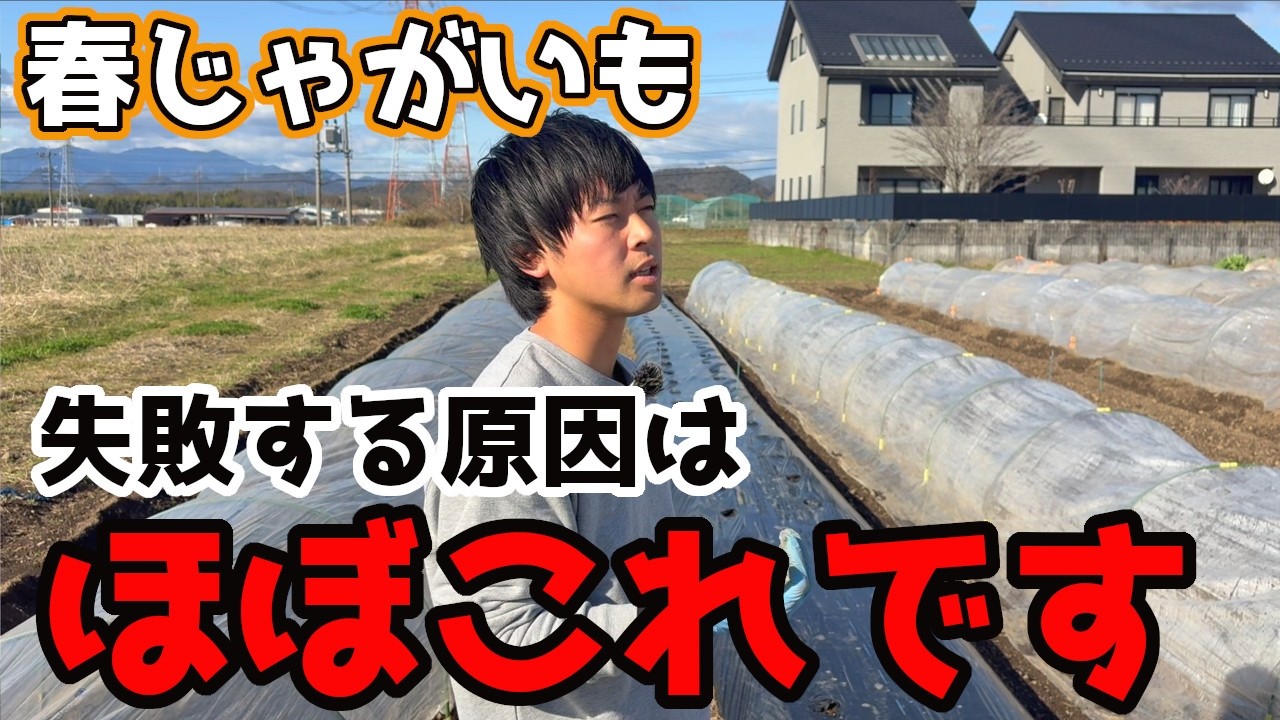 【春じゃがいも】が失敗するときのほとんどが〇〇です。【家庭菜園】