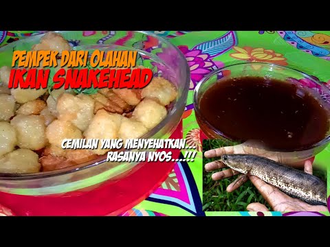 resep-membuat-pempek-palembang---pempek-adaan-dengan-ikan-gabus
