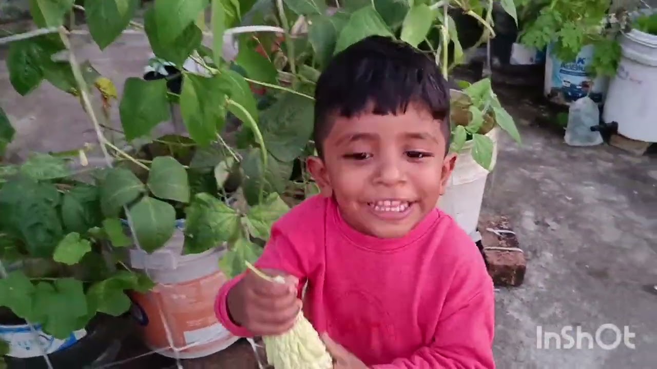 ഓണാകൃഷി part 2