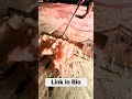 Want to clean like a pro? Shop the tools used in this video below or check my profile BIO! 🛒👇