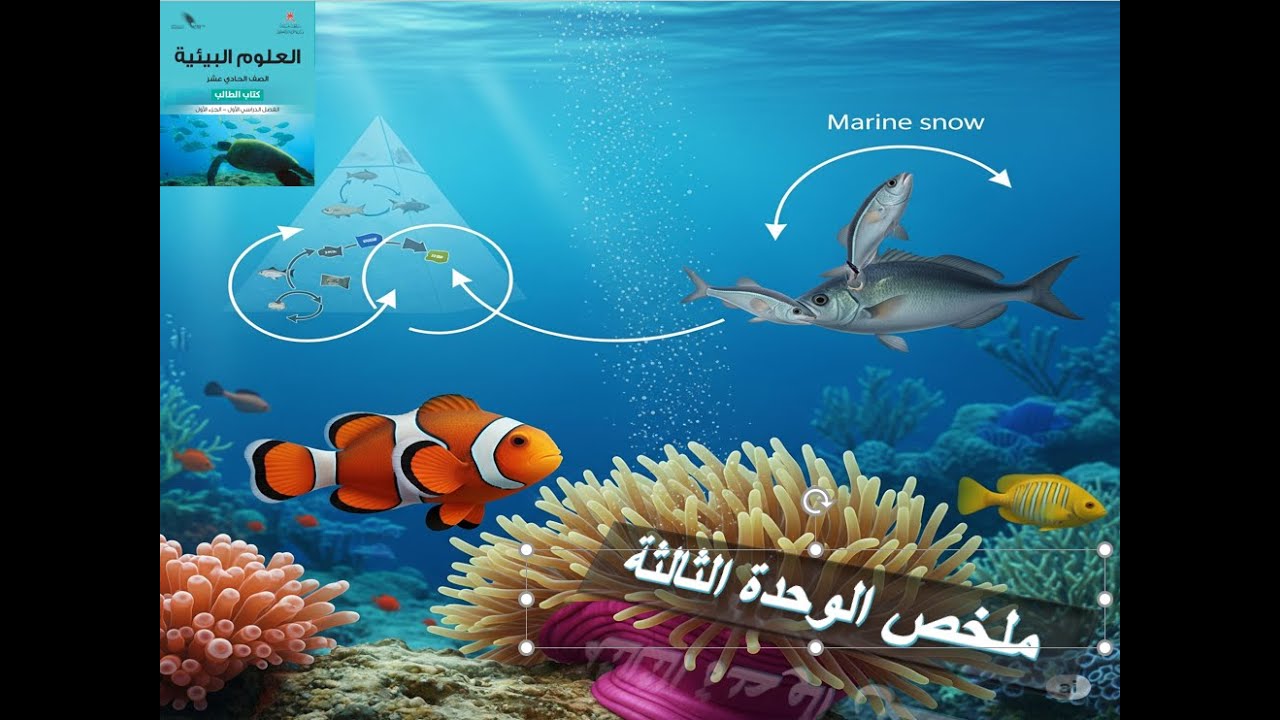 ملخص الوحدة الثالثة علوم بيئية حسب أهداف كامبريدج حادي عشر