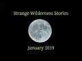 A Collection of Strange Wilderness Stories - January 2019