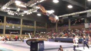Paul Ruggeri - Vault - 2013 Winter Cup Finals